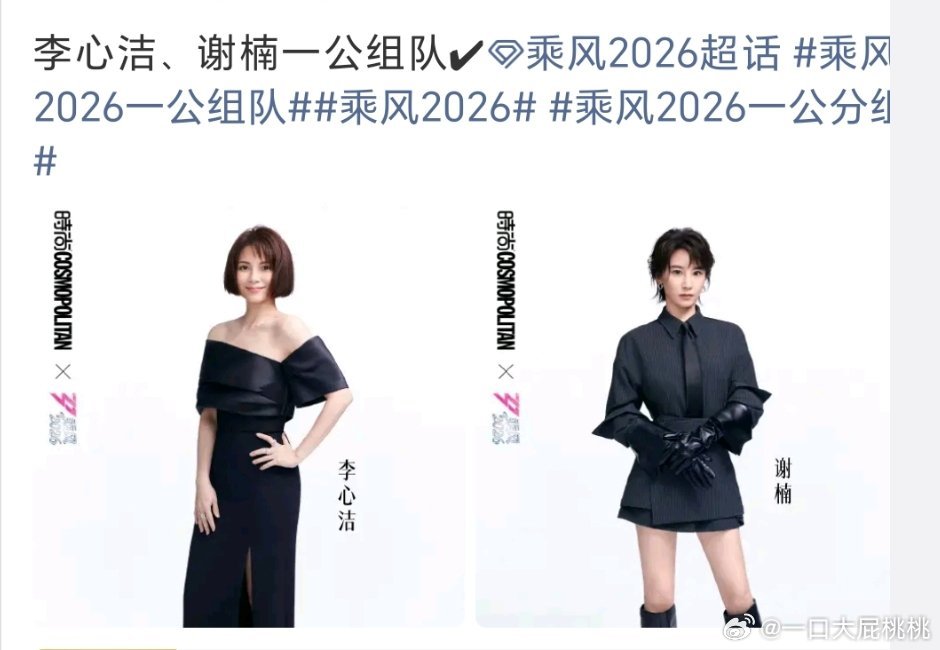 浪姐组队姐姐的公式照 