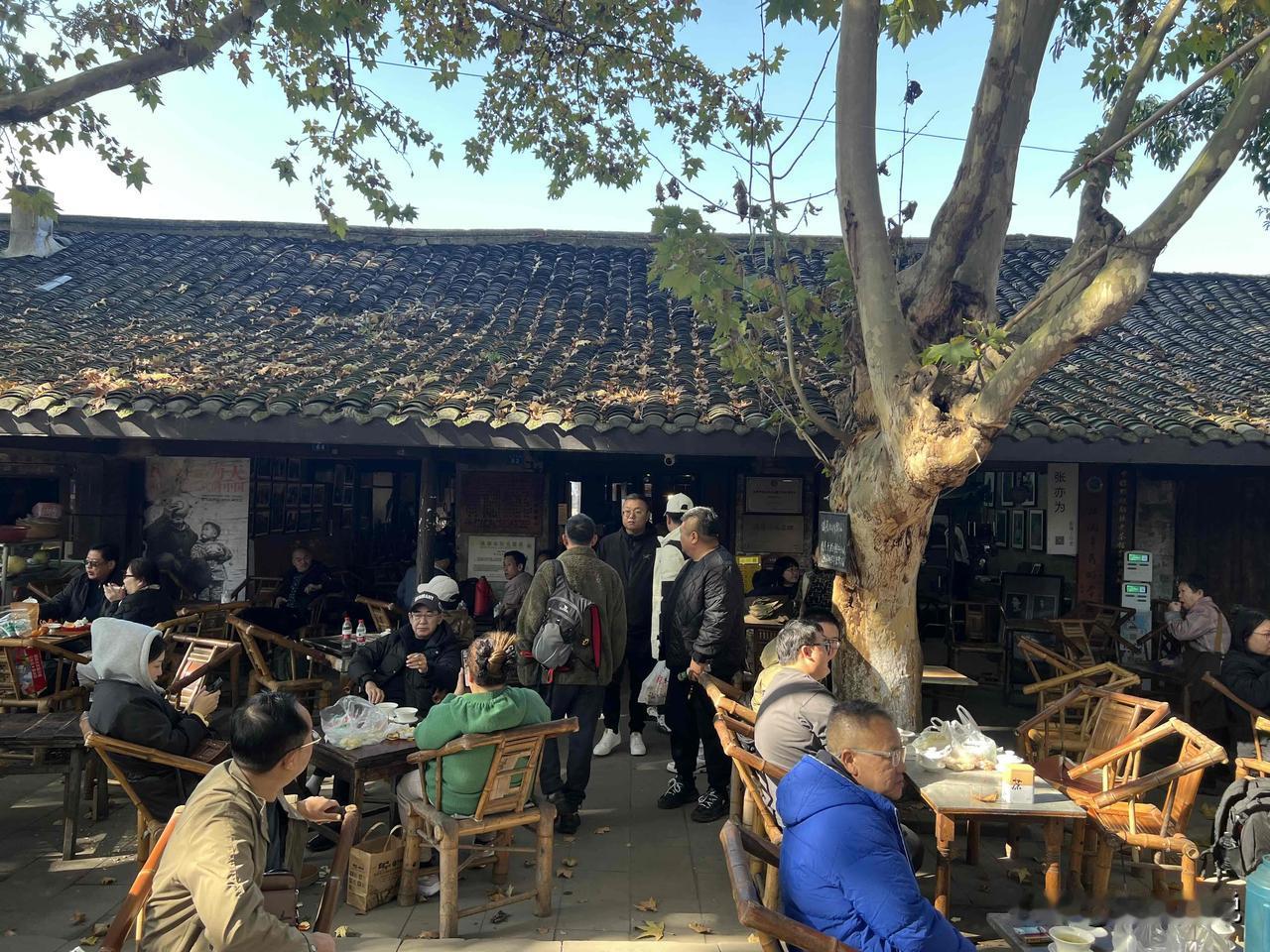 阳光灿烂的日子！
好好珍惜！
阴郁的深秋，羽绒服已经穿了好几天的成都人，遇到了惊