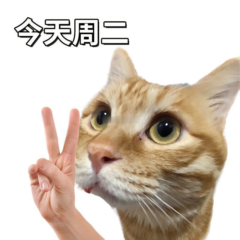 早安清松排球🏐清松排球的早安