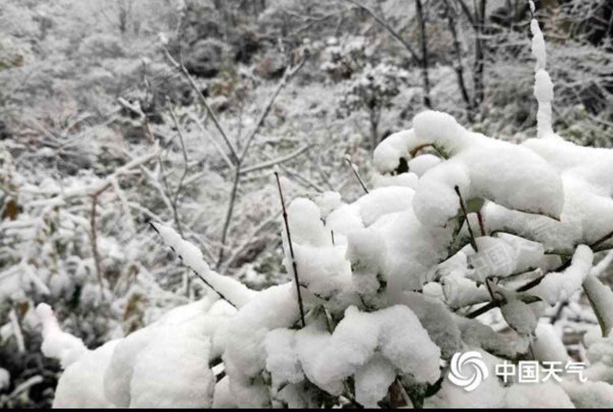 驻马店明日天气：升温！昼夜温差16℃，穿衣别大意
 
驻马店的朋友们注意啦！明天