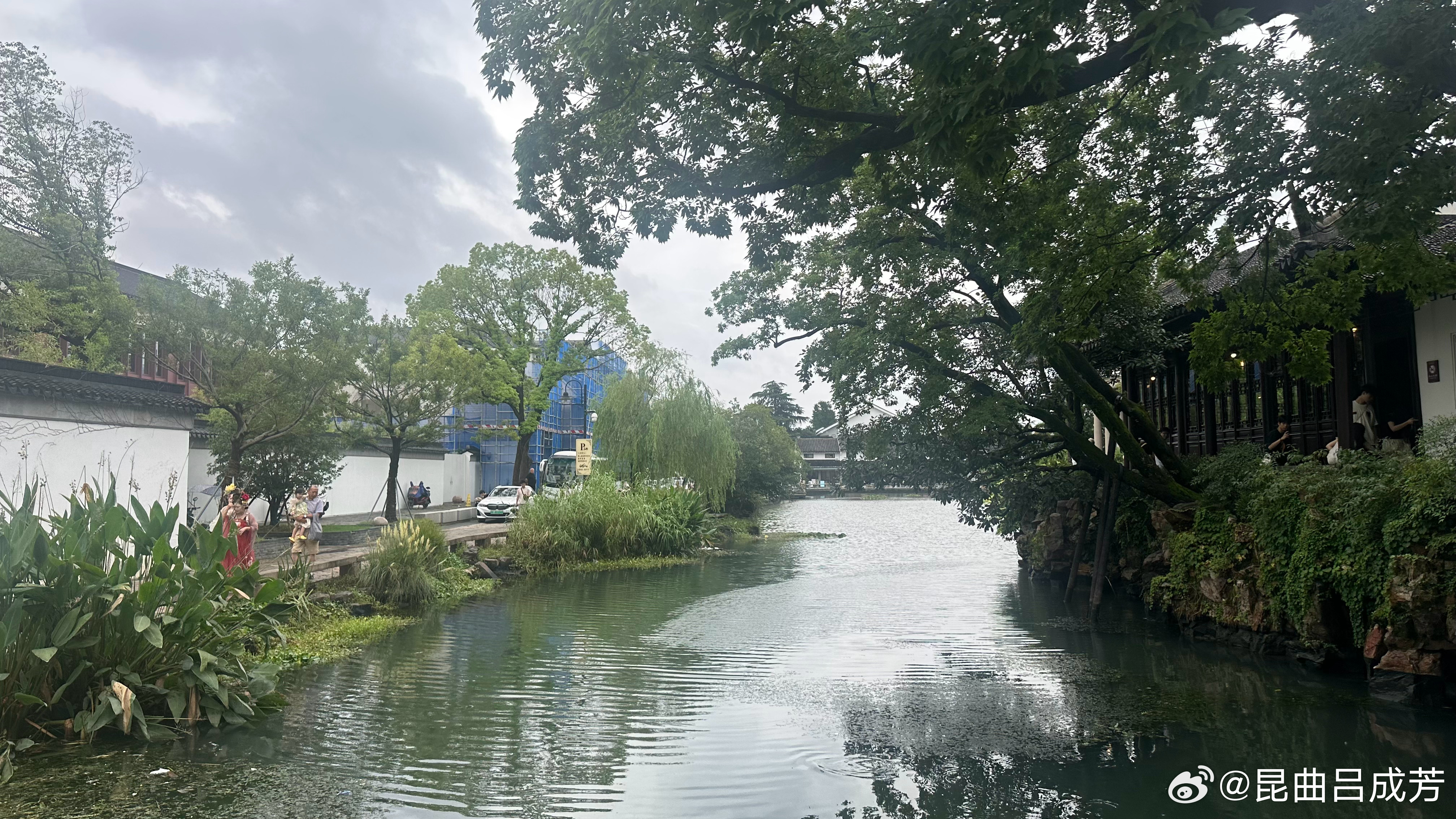 苏州园林被“白海豚”洗得干干净净，可园里看满园的荷花、桃子、石榴、柚子、苹果，硕