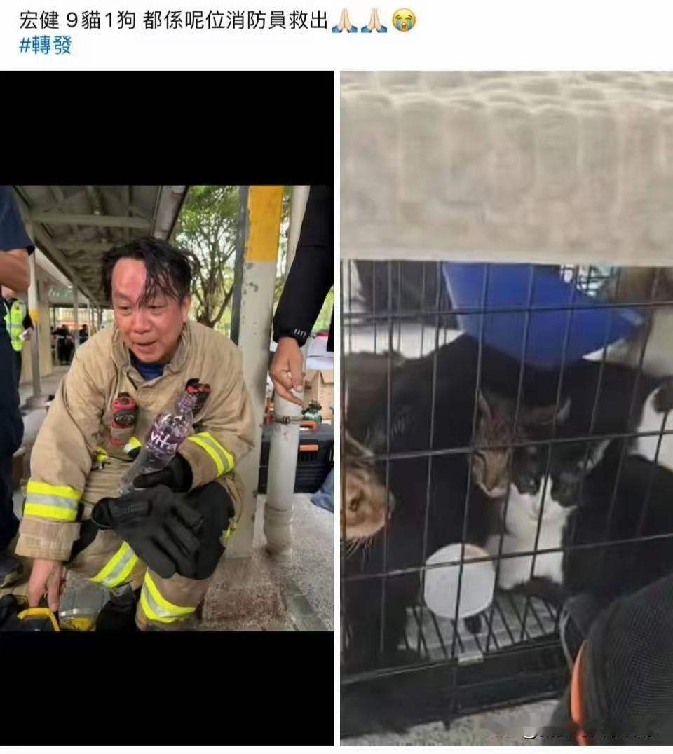 香港这次被更多人记住了。
不是因为火烧得有多大，
是消防员在救人之外，还顺手把那
