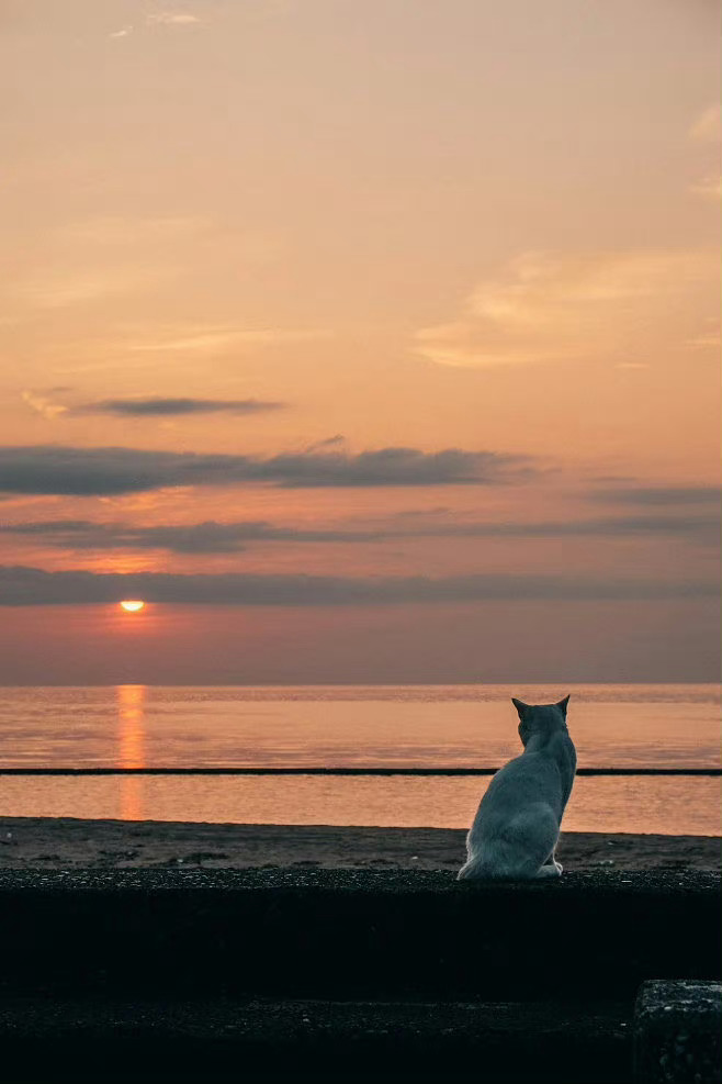 我喜欢散步，人在散步的时候会和自己的灵魂相遇。——朱德庸 ​​​
