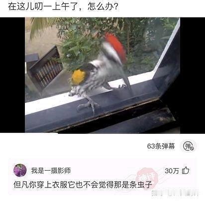 怎么骂人 