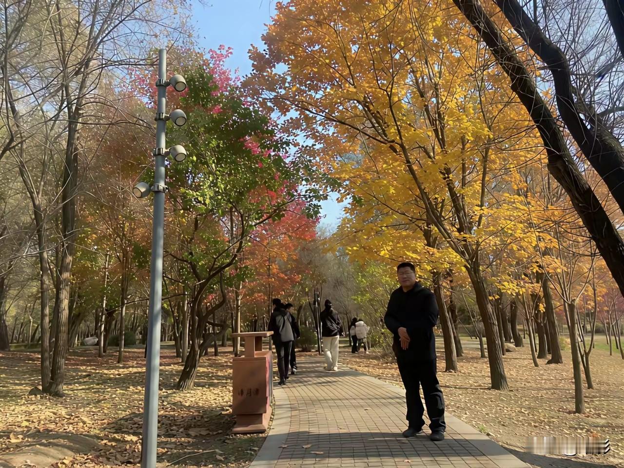 在头条上，我比较喜欢的创作者不是苗京京、素老三、素幼三，因为她们都是女的！
在头