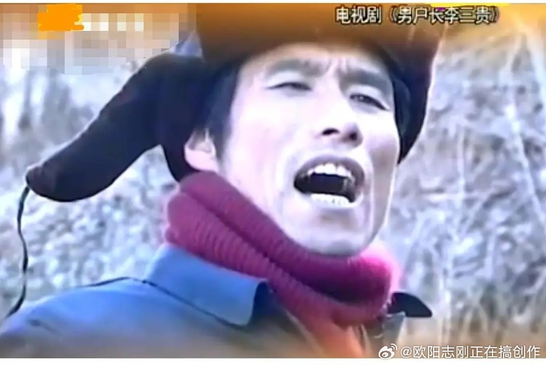 《男户长李三贵》，九十年代初冷门农村剧，就五六集，刘佩琦主演，哔站上面有几分钟片