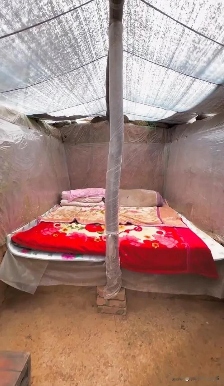 一出门就是祖国的大好河山，这日子过得相当安逸啊，真不愧是“豪华”观景房！