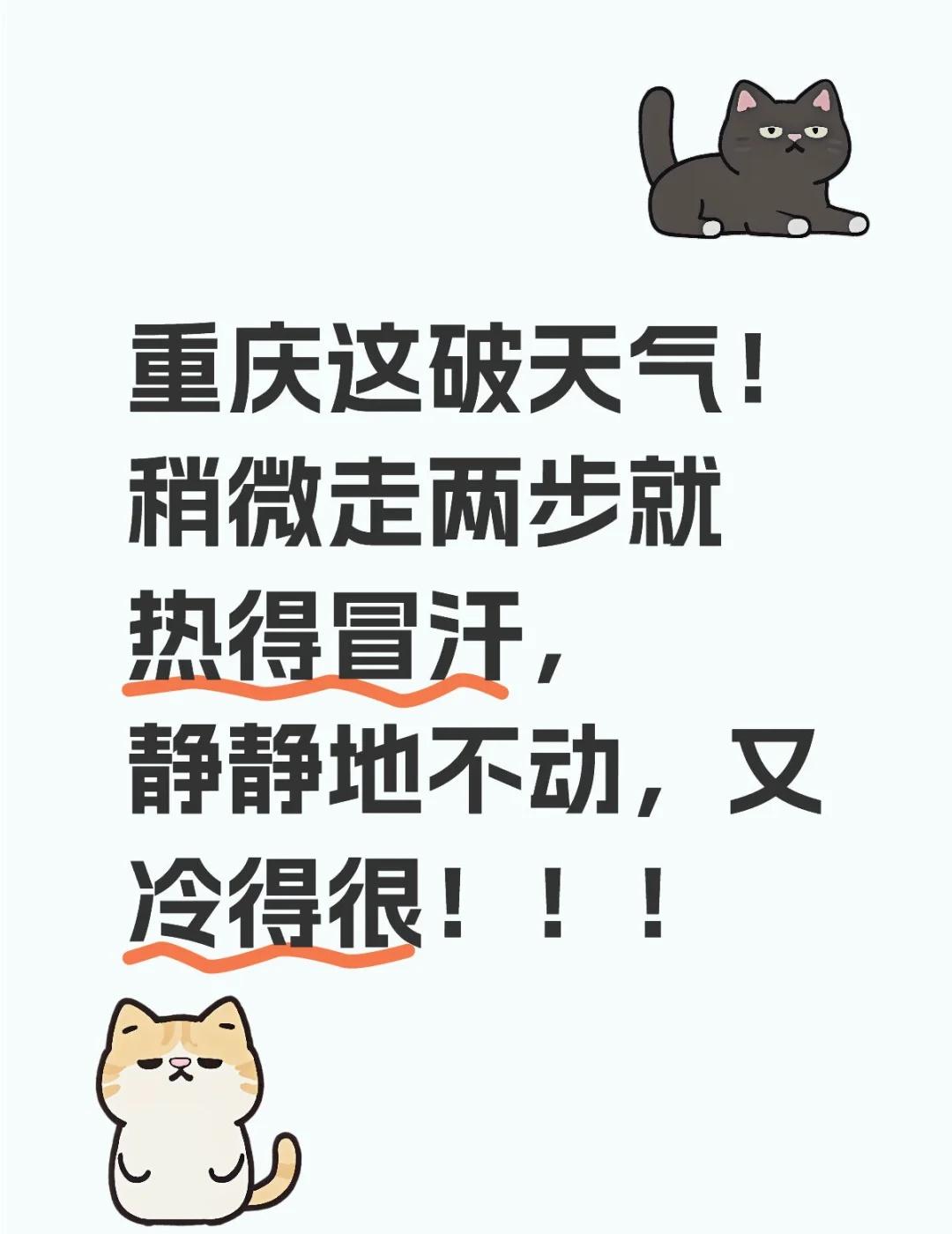 重庆这破天气！
稍微走两步就热得冒汗，静静地不动，又冷得很！！！