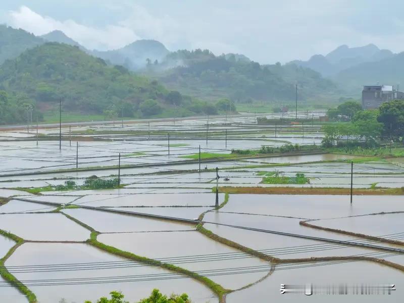 看到“水田过雨烂漫天”求上联，我琢磨了一下。从意境和对仗来看，得找个能和“水田”