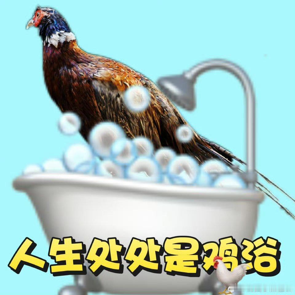 刘浩存宋威龙新剧给个鸡会尾鱼亲自坐镇编审想不好看都难！！！刘浩存宋威龙主演新剧《