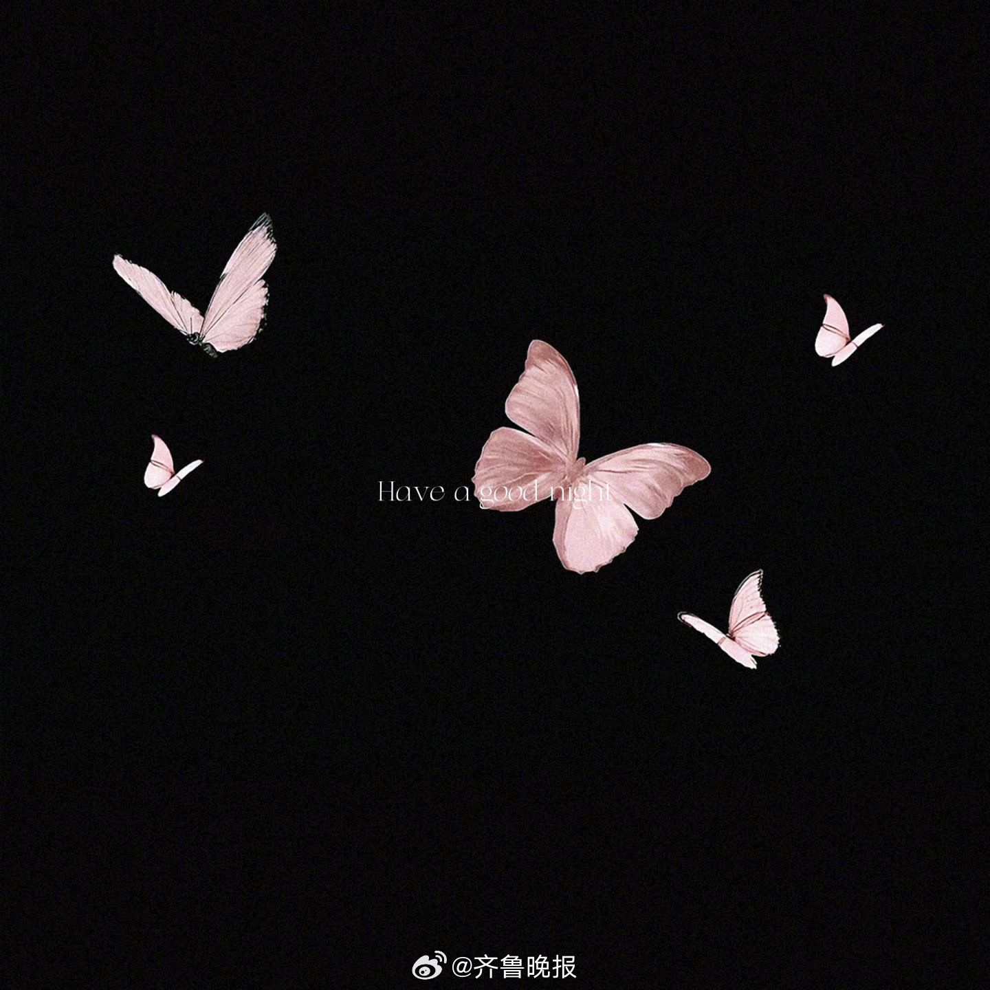 人生没有白走的路每一步都算数#晚安#