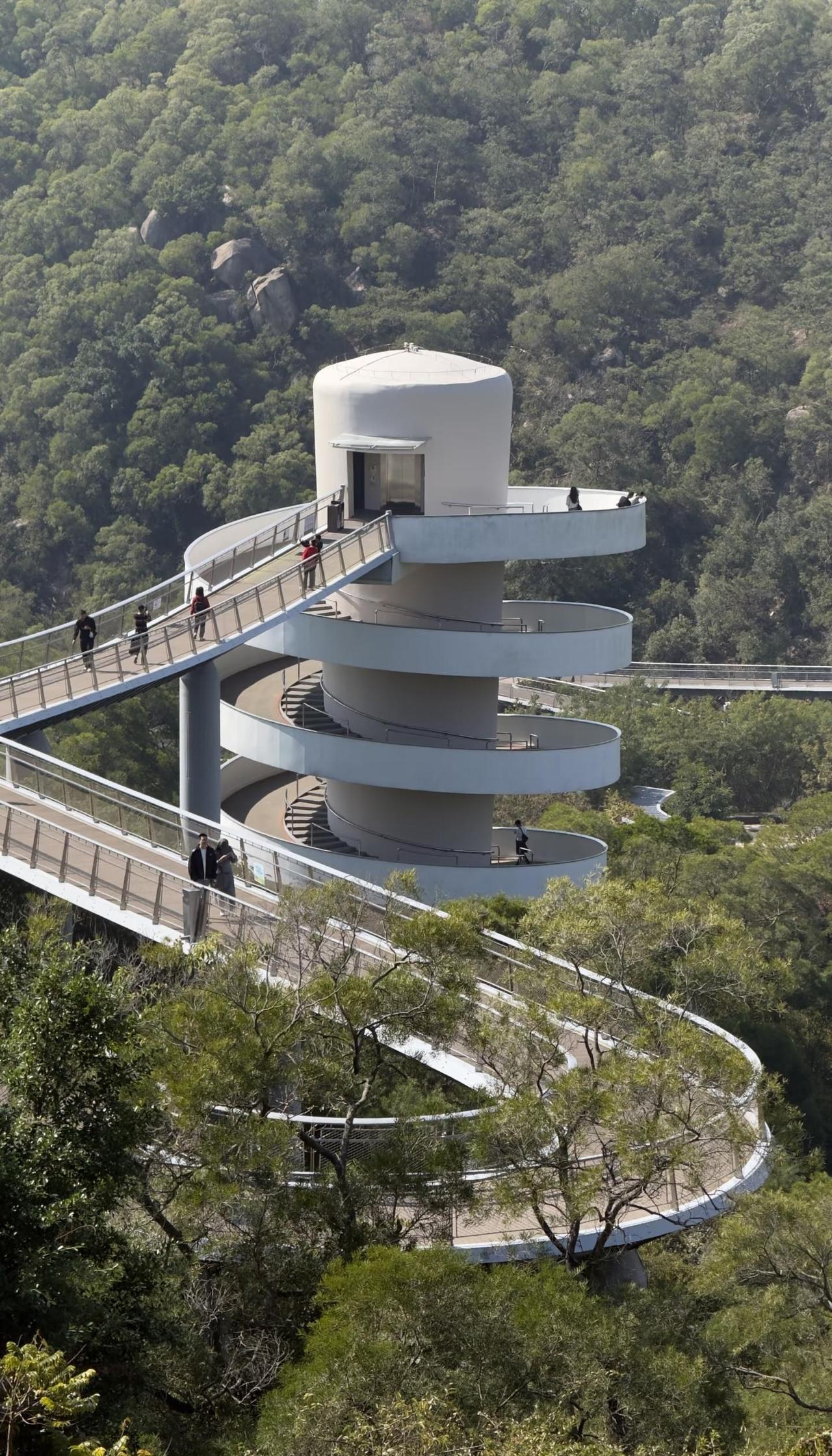 山海步道林海线｜闯入厦门“小瑞士”树林秘境
旅途中的美景 📍坐标：厦门山海健康