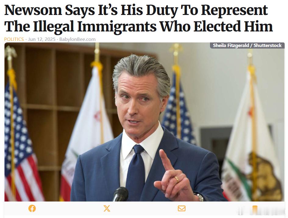 《巴比伦蜜蜂》(The Babylon Bee)：面对全国各地对其应对暴力反移民