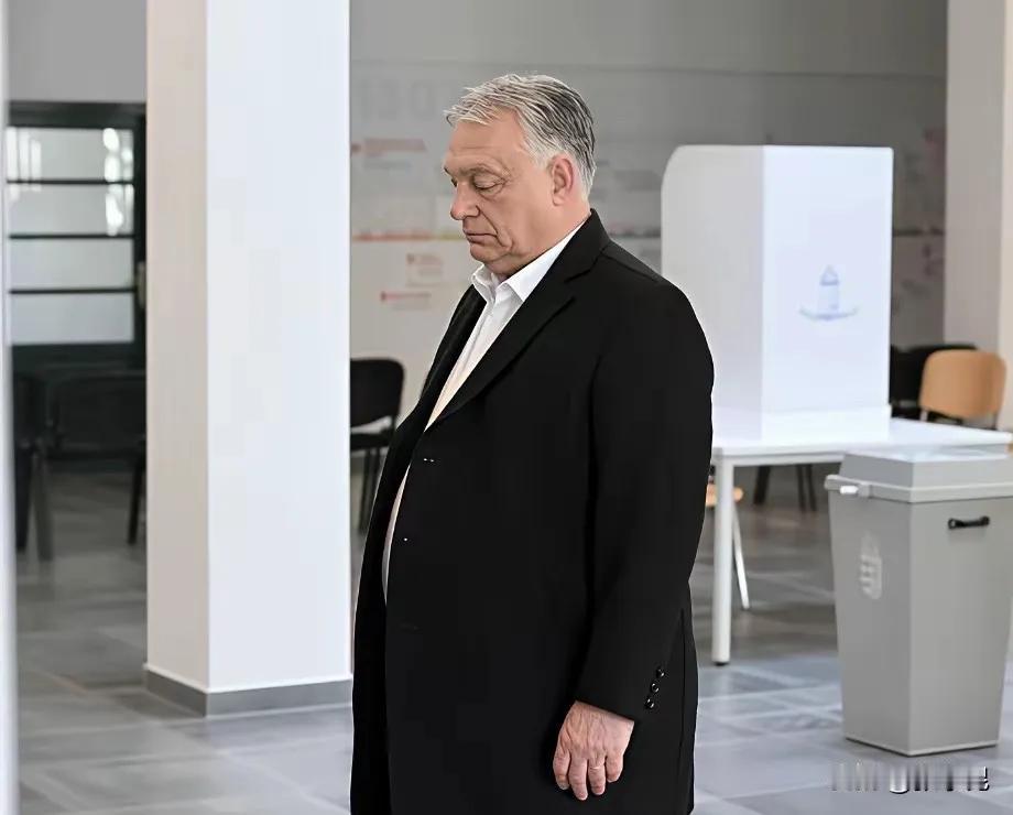 匈牙利icon新当选总理彼得·马扎尔今天发表胜选演讲时说：“我们将重振维谢格拉德