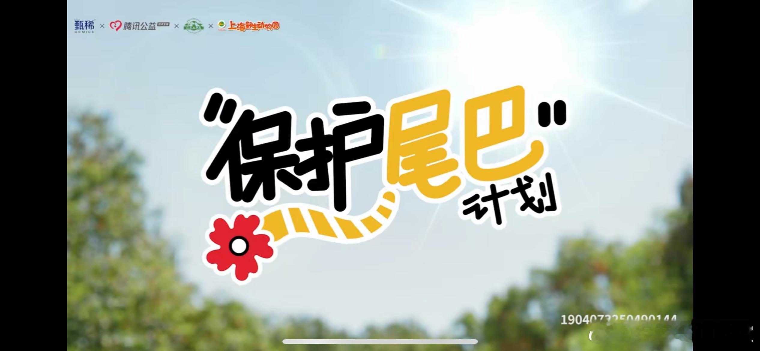 动物的美妙 尾巴知道保护尾巴计划  感谢甄稀携手腾讯公益和中国小动物保护协会 共