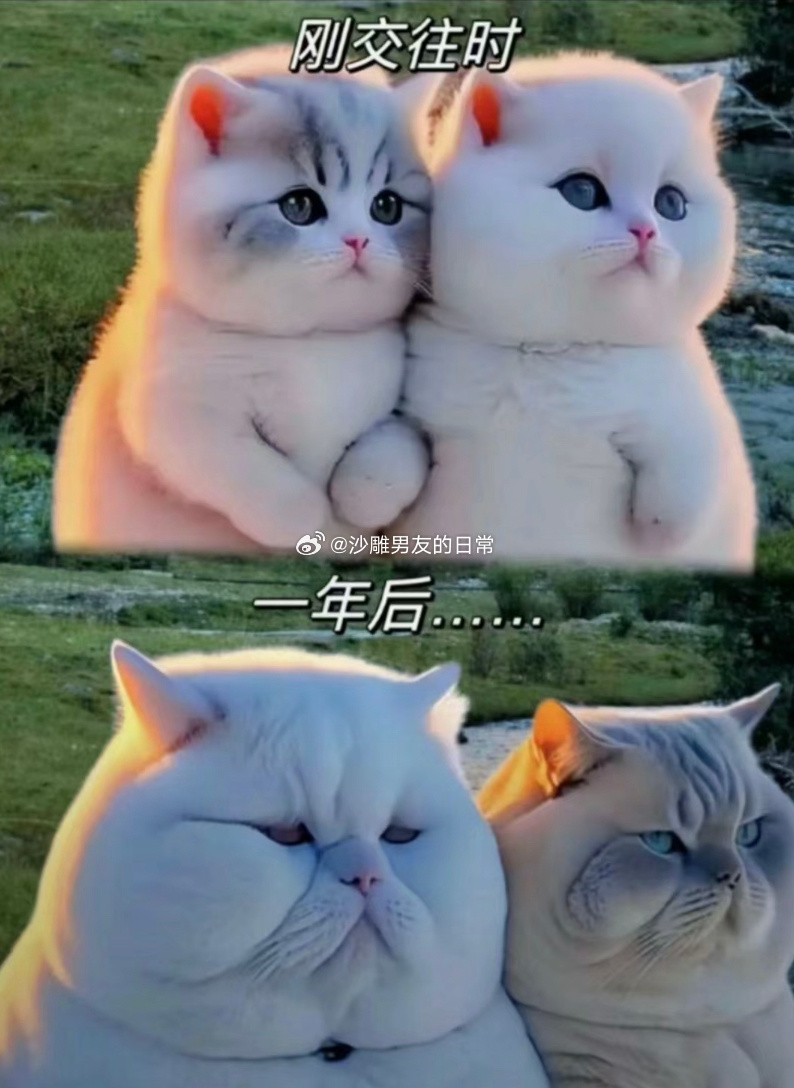 恋爱前vs恋爱后哈哈哈哈哈哈 ​​​