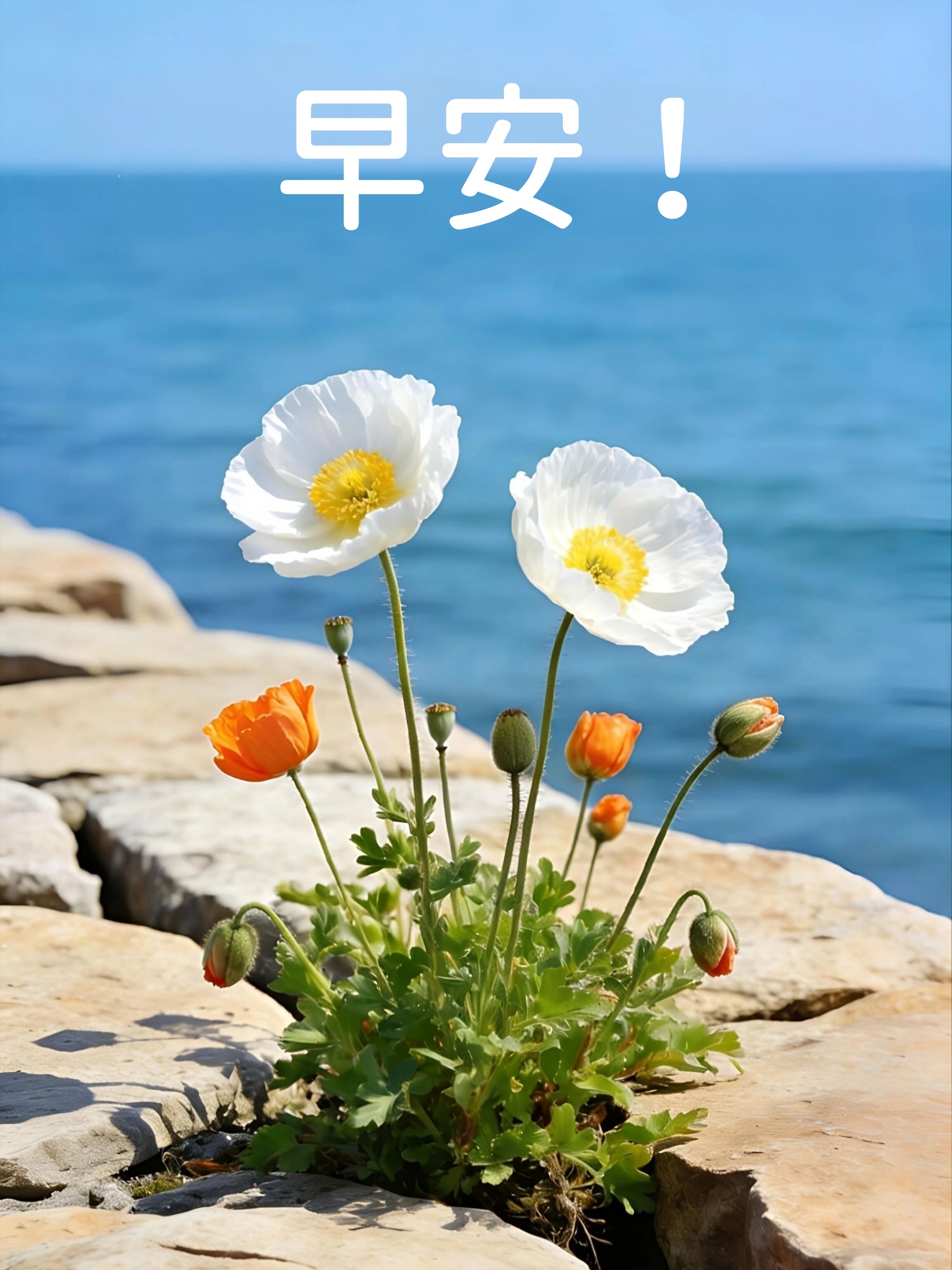 ʜᴀ͟ᴘ͟ᴘ͟ʏ ᴅᴀʏ̆̈ 把生活调成自己喜欢的频道，不必过度用力，也切莫随性