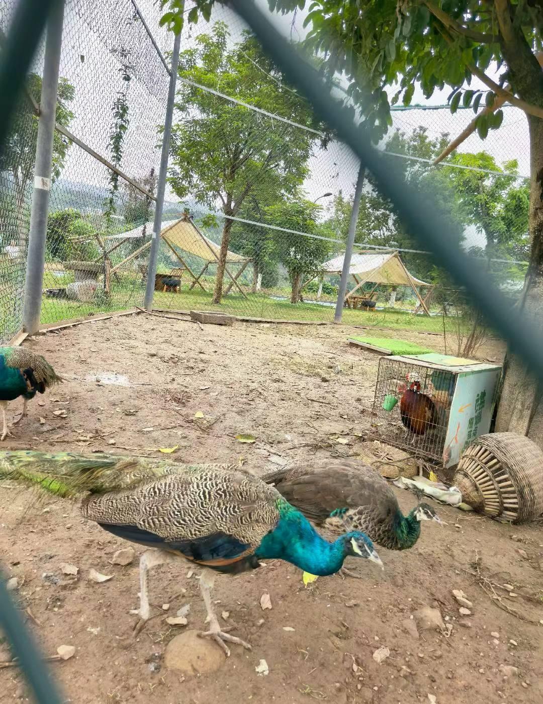 在大自然中品味生活
📍苏州