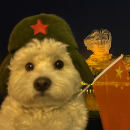 老实汪第一次出远门