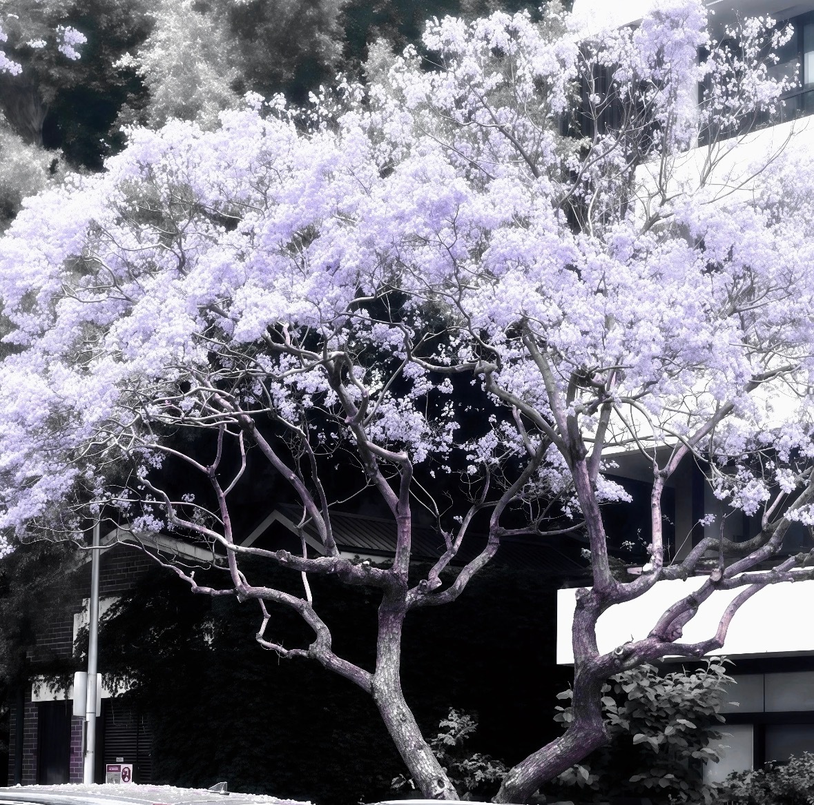 ˚.⟡·四季の手引き·๑⁺₊ 