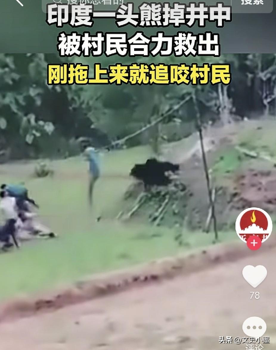 印度，一头成年大黑熊掉进了井里，一村民路过时发现了它，看到黑熊在井里苦苦挣扎却爬