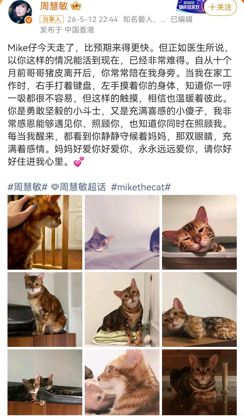 周慧敏的猫去世了周慧敏还给自己的猫出过一本书！ 