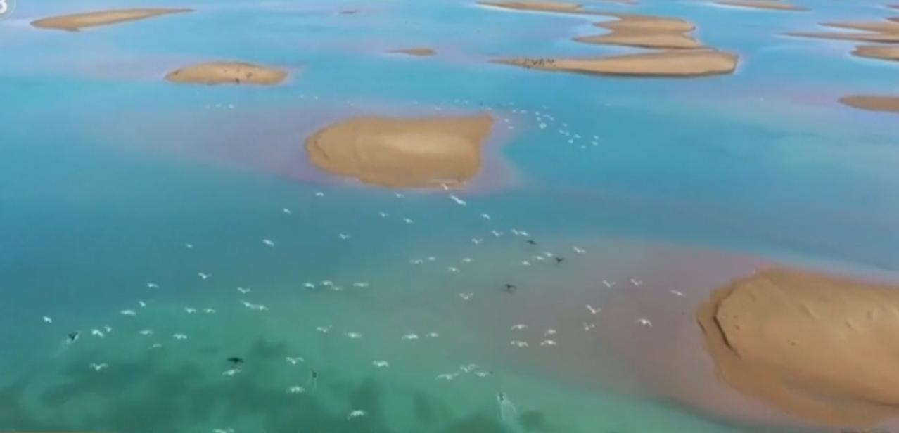 水波漾开蓝绿的绮梦，沙洲似散落的琥珀嵌在清涟里，这方水域藏着自然最温柔的笔触；林