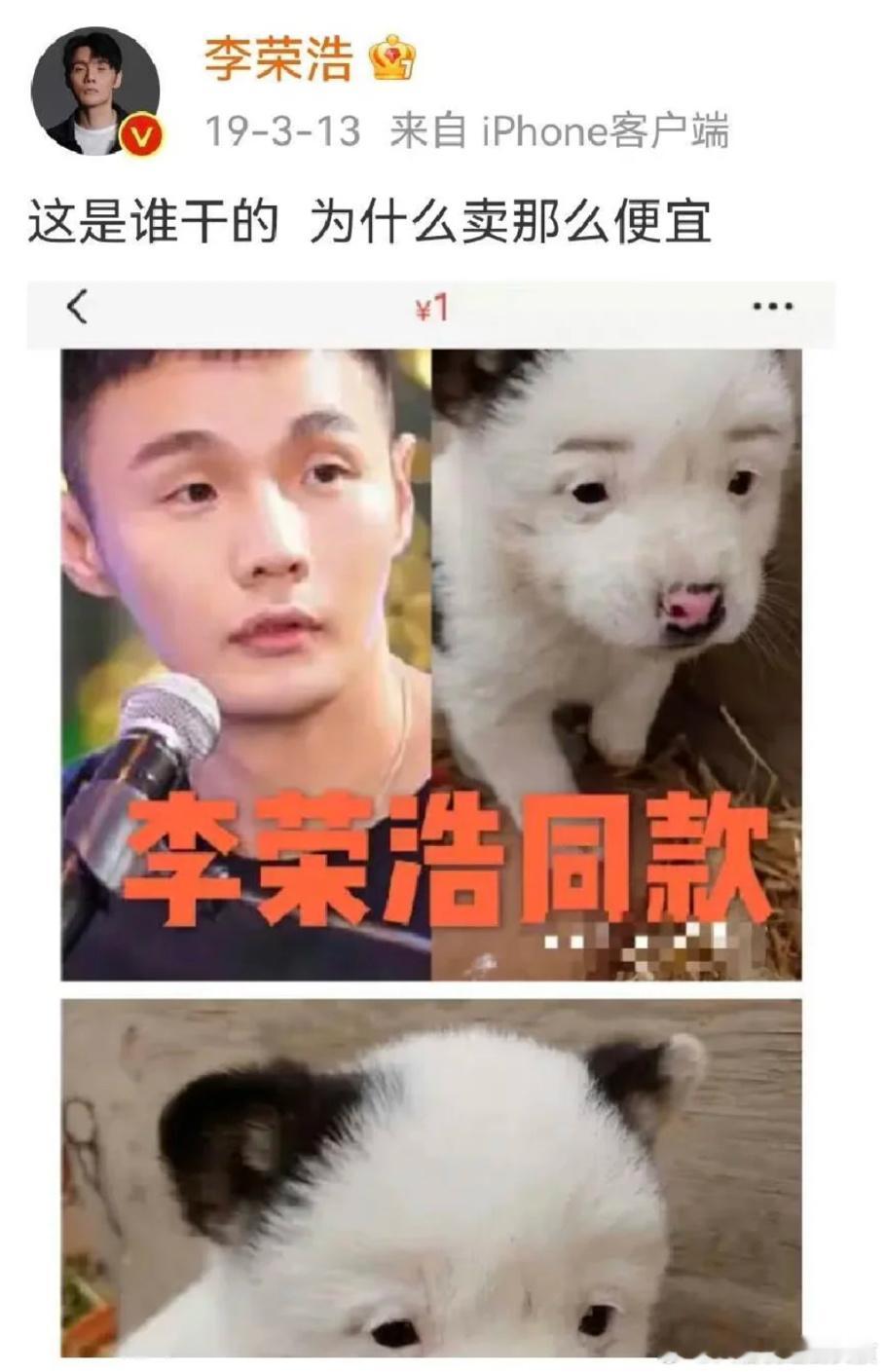 李荣浩：要才华有才华 要颜值有幽默怎么没人告诉我李荣浩这么搞笑还有他的粉丝也超会
