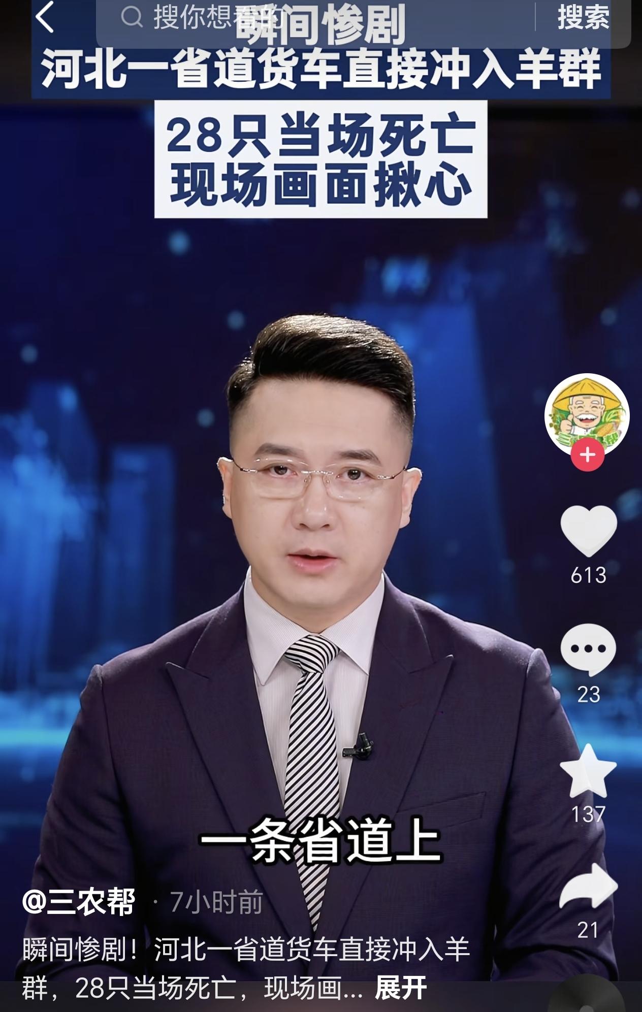 河北沧州，一男子赶着50只羊在国道上逆行，没想到一辆大货车突然冲过来撞死20多只