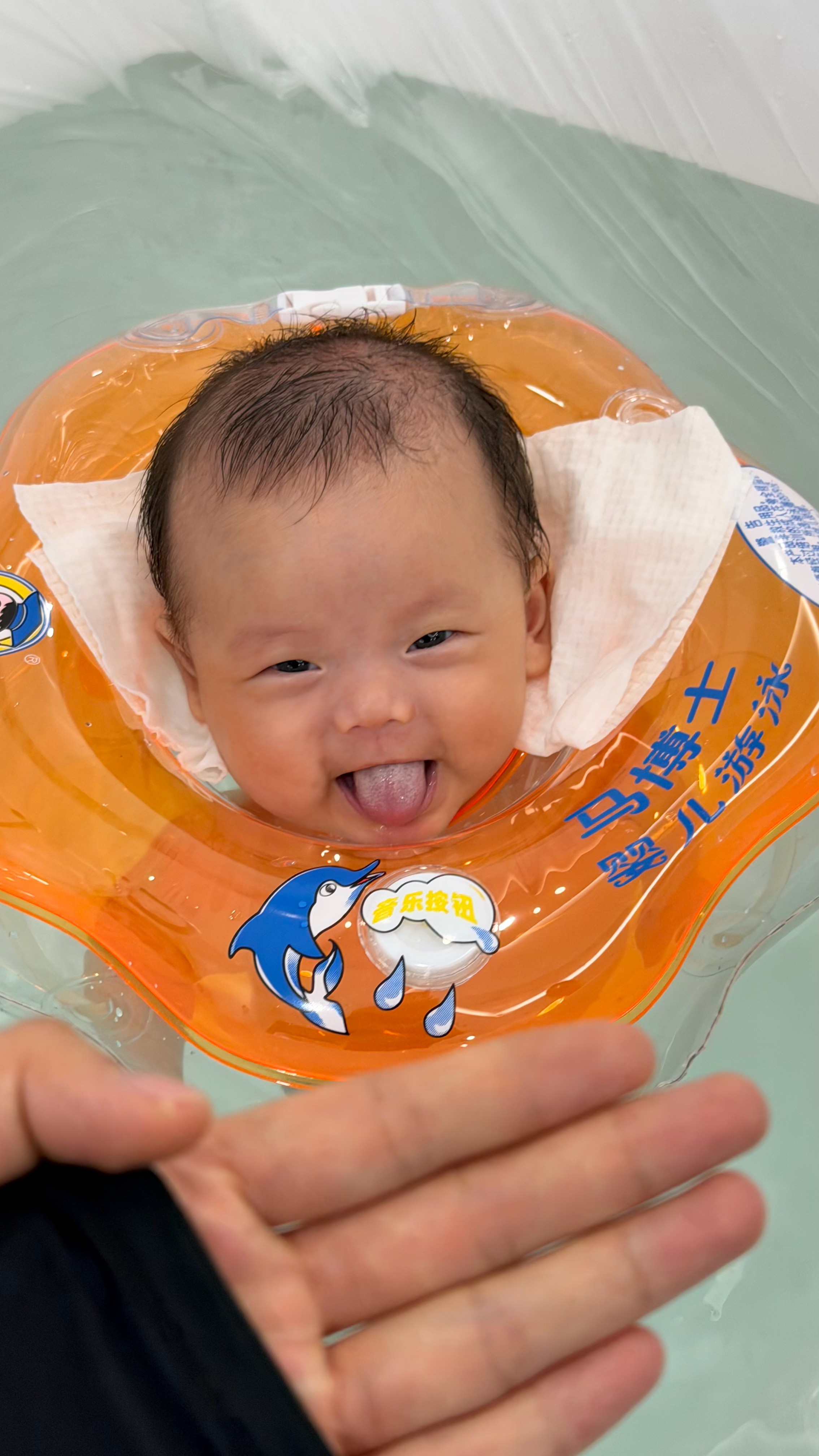开心果 