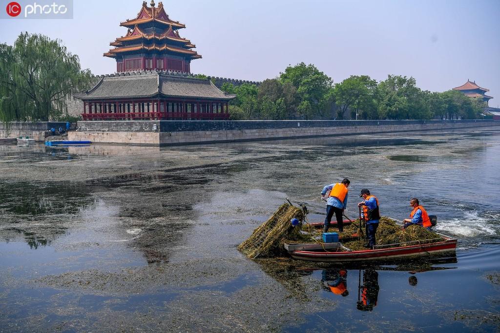 7万人，9个月，20万吨垃圾。这不是哪个城市的环卫奇迹，而是1949年新中国刚刚