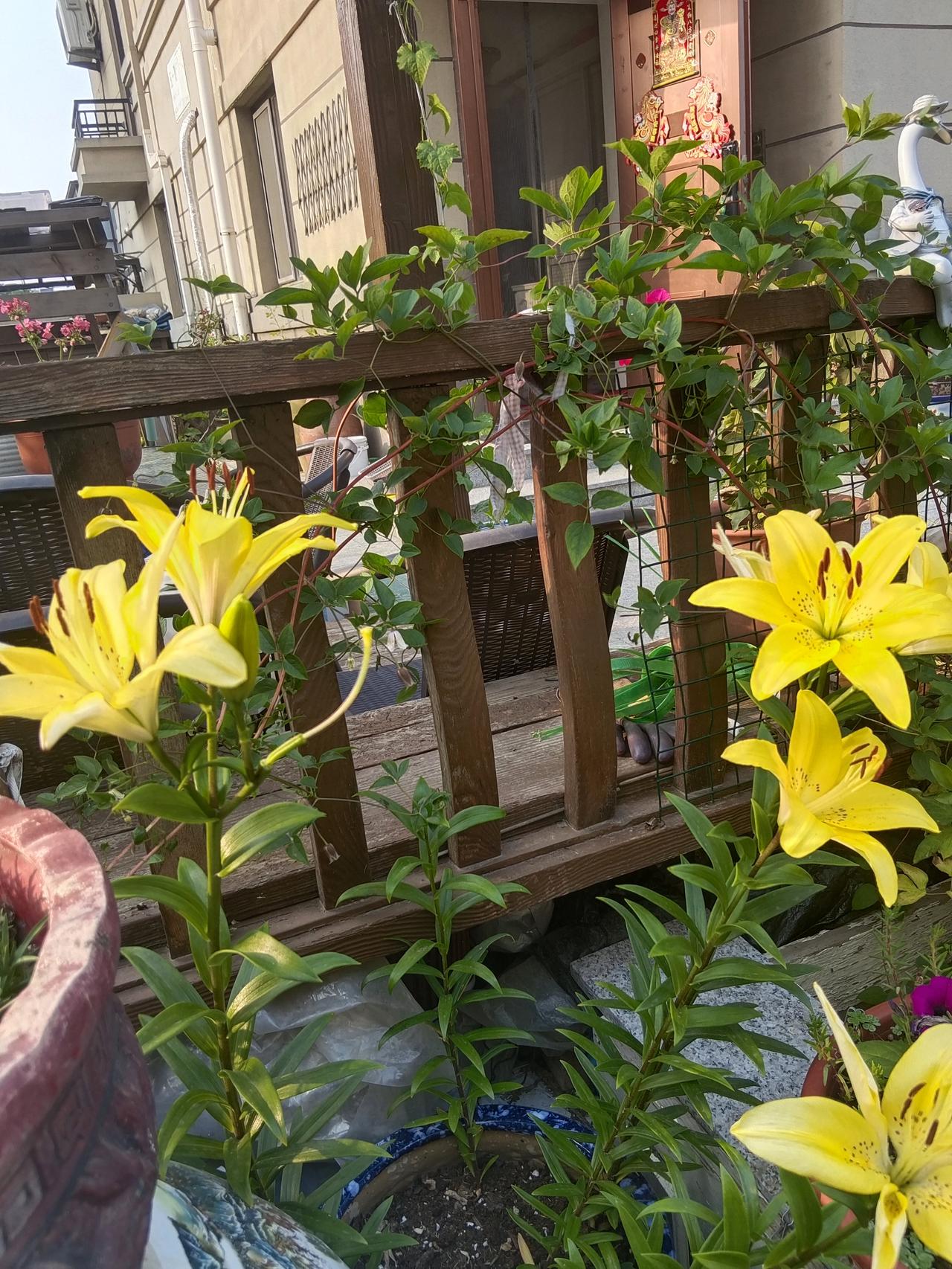 随手拍张照片分享手机里最美风景