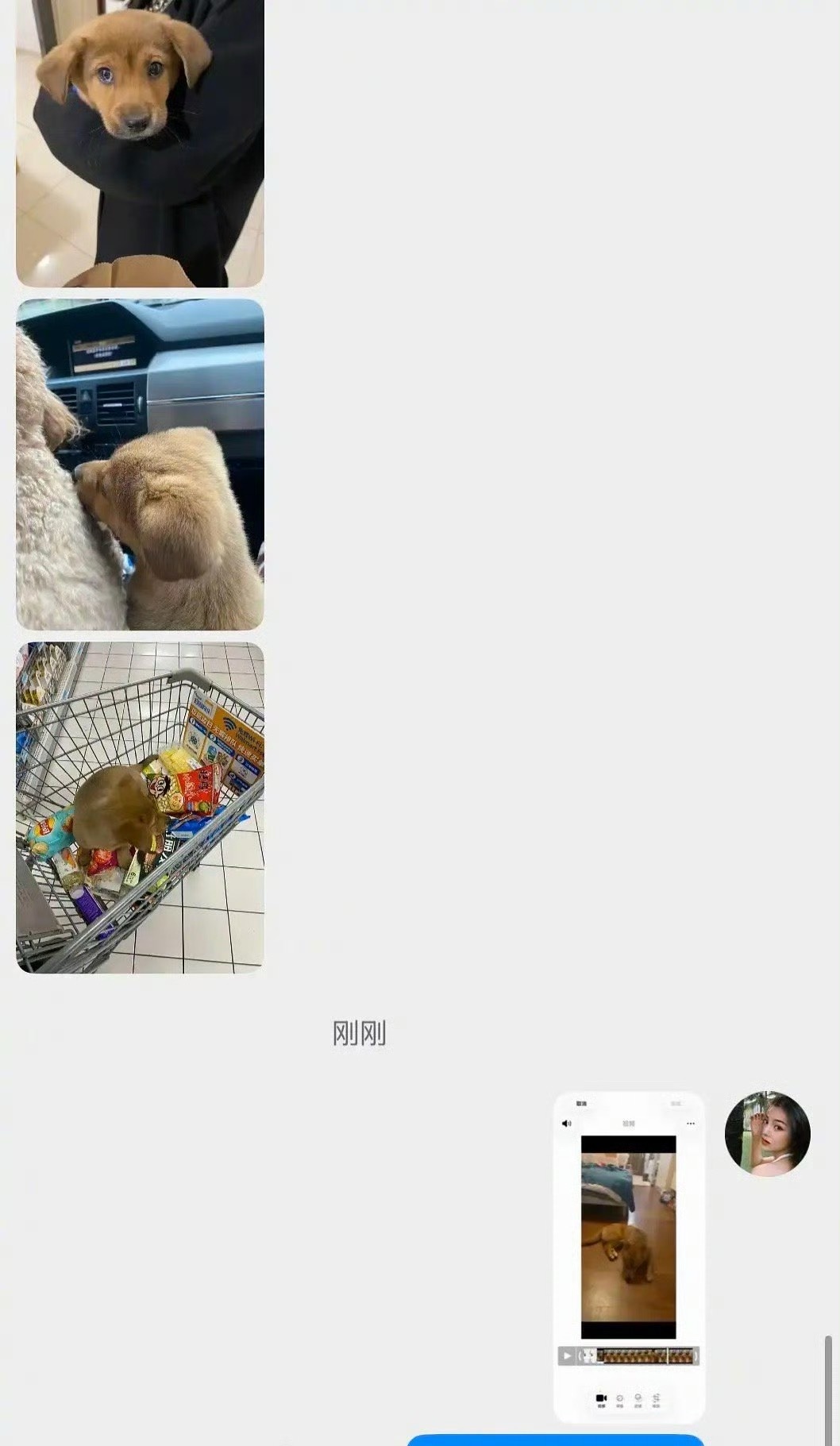 疑似又有新嫂子出现了，也是帮田栩宁养狗…九成美 你要告我吗粉丝头像 嫂子拍的