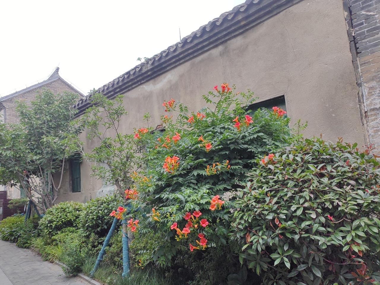 走进烟台老时光。
     说实话，没有历史的城市我不咋喜欢，例如上海，香港，澳