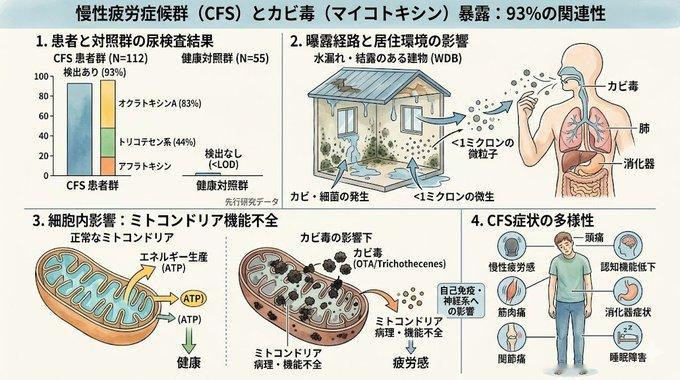 93%的慢性疲劳综合征患者的尿液中检测到了霉毒素。健康人群中则完全未见此类毒素。