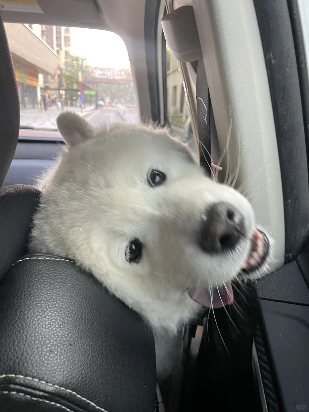 我们昨天去看秋天的第一个落日