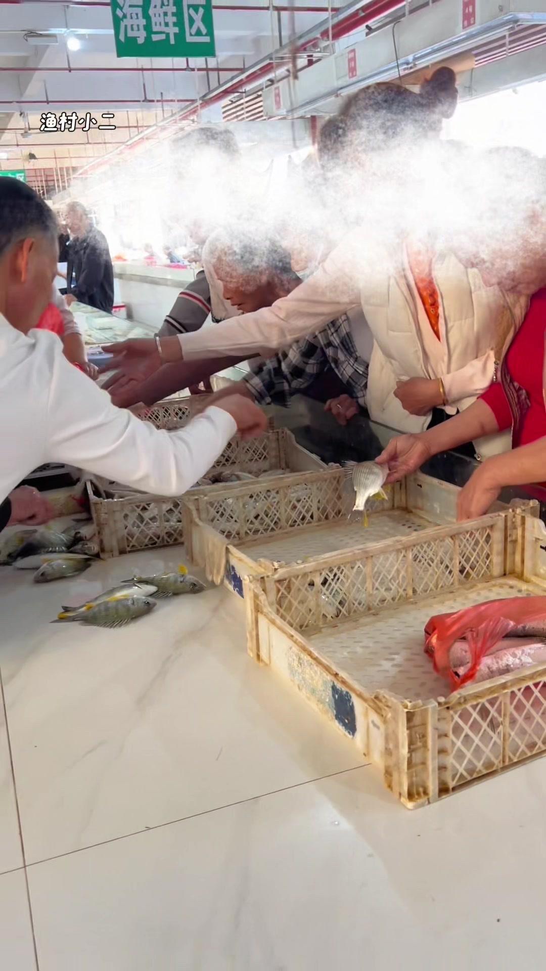 渔民买鱼有多野？🐟为了买最新鲜的鱼，亲眼见了才知道有多不可思议，这生活太原生态