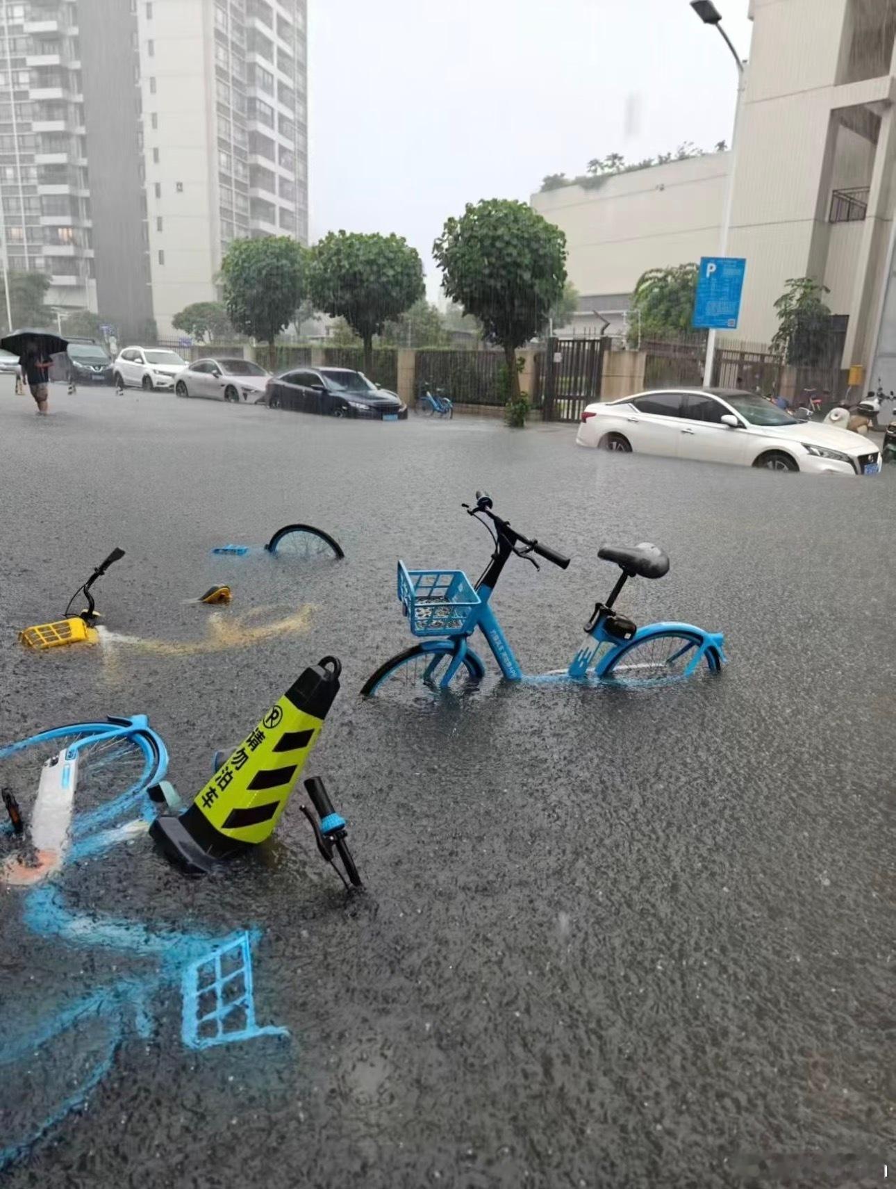 昨天下了一场大暴雨今天凉快许多 