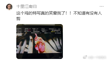 你好1983终于不再是女性之间雌竞你好1983 拒绝雌竞内卷！夏晓兰和刘芬互相托