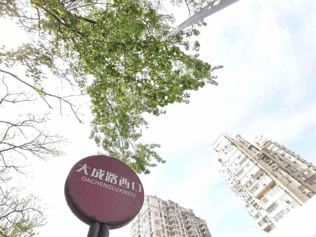 我的今日状态：🏝️旅行度假
我这里的天气：☀️晴天