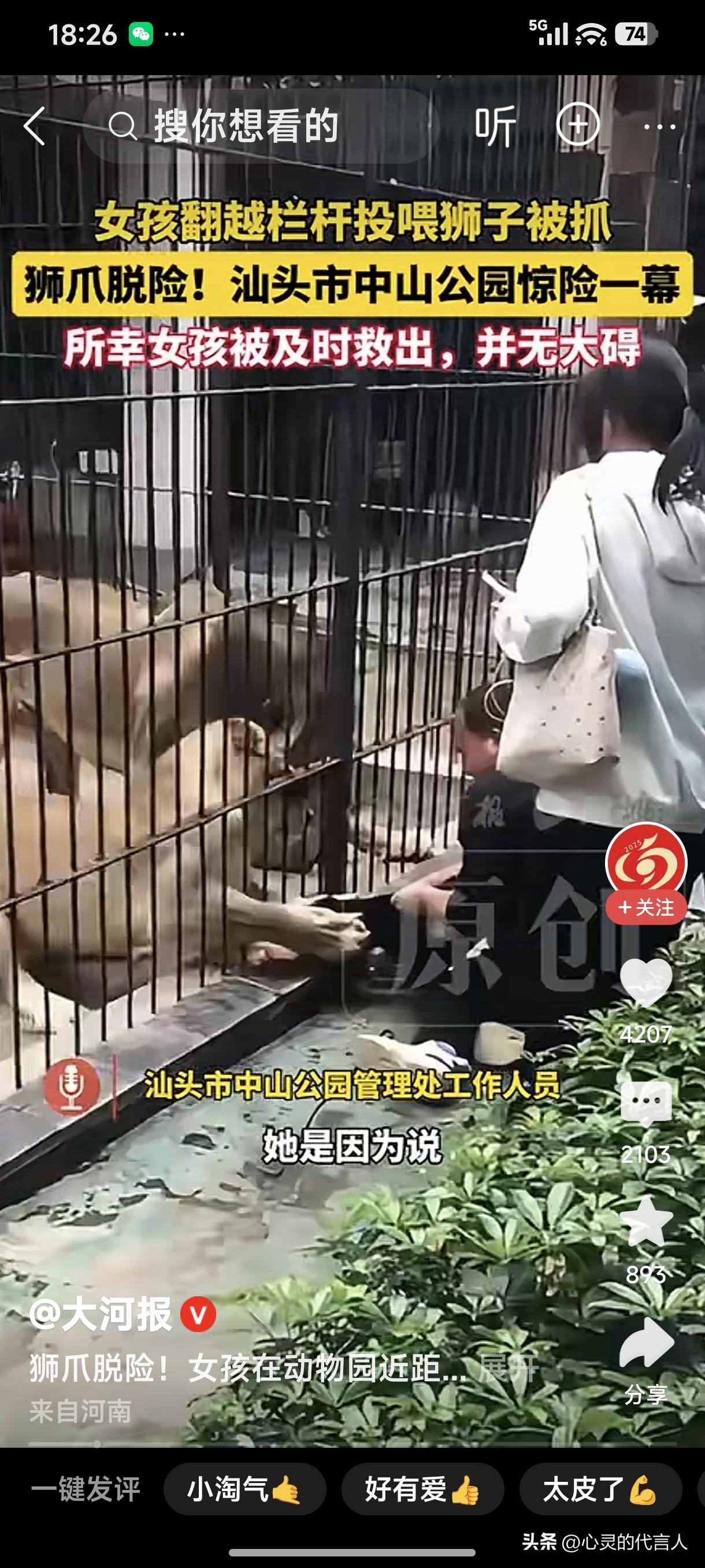 公园内一女童遭狮子袭击，爪子抓小腿还想张嘴咬。
汕头中山公园:小孩儿的伤情无碍，