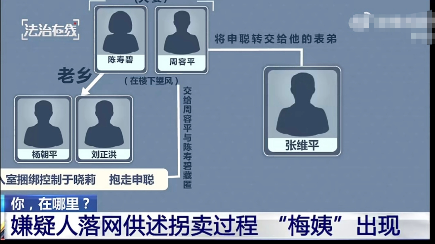 央视公布梅姨案细节 法院必须重判！一人害了多少家庭啊。梅姨或判重刑甚至死刑