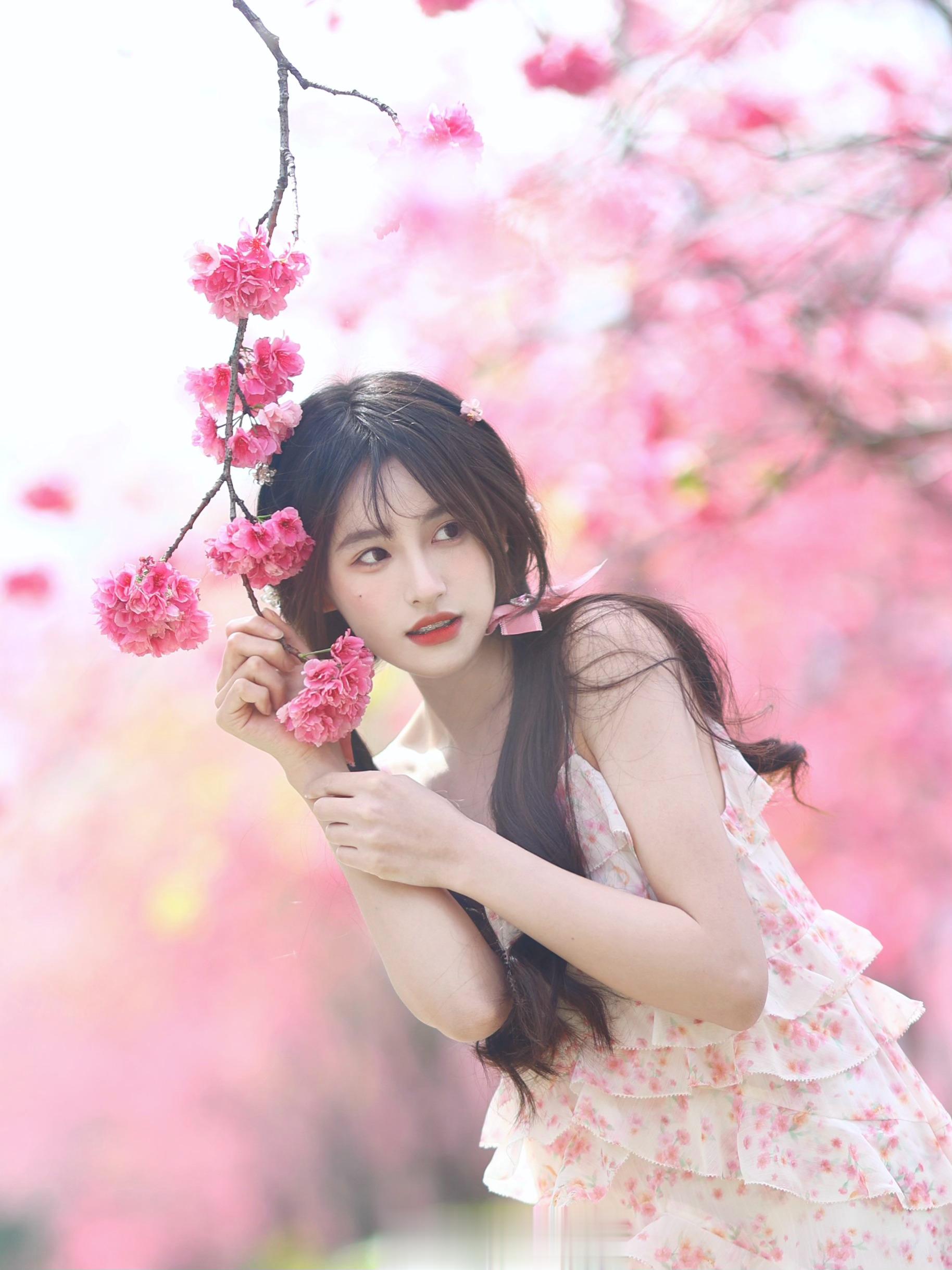 樱花下落的速度是每秒五厘米🌸 ​​​