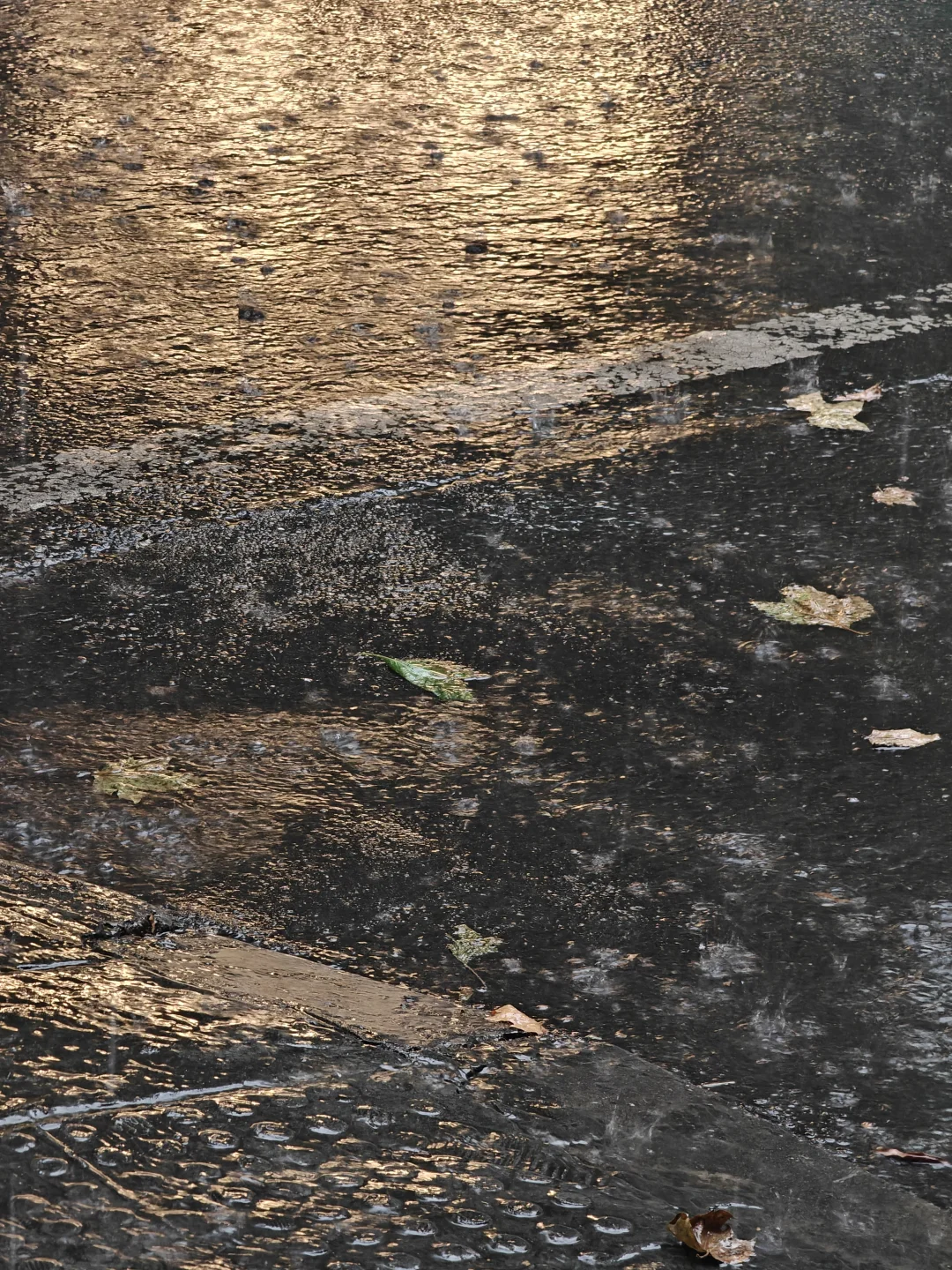 成都大雨 ！热锅下开水 ！报坐标 ！！！