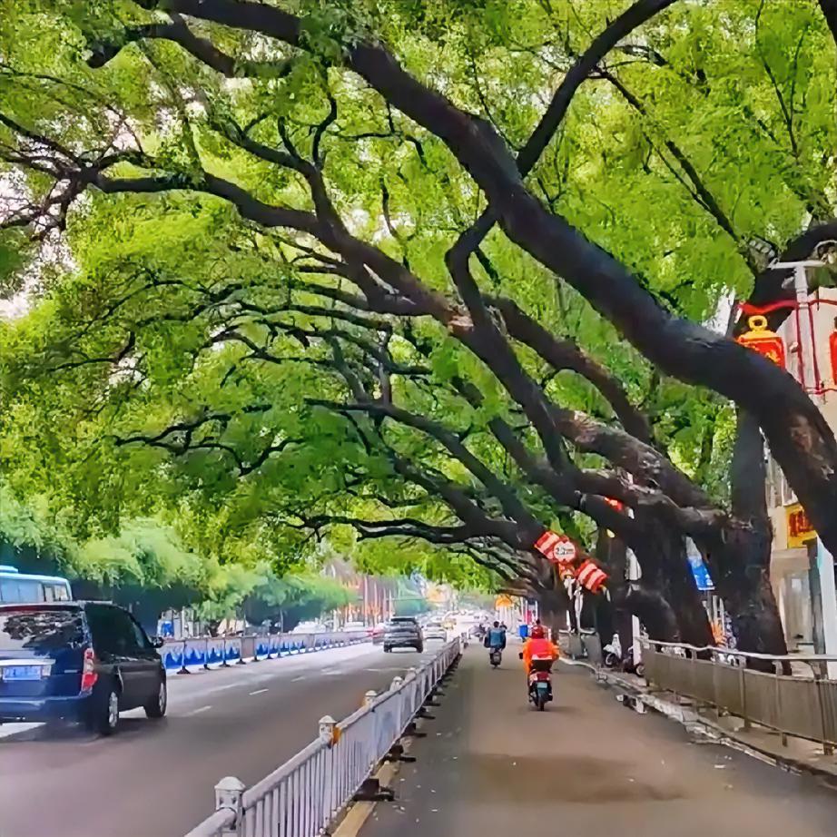 能刷到这篇，恭喜你！一个人走上坡路的7个信号，中3个就开始逆袭。
 
你有没有发