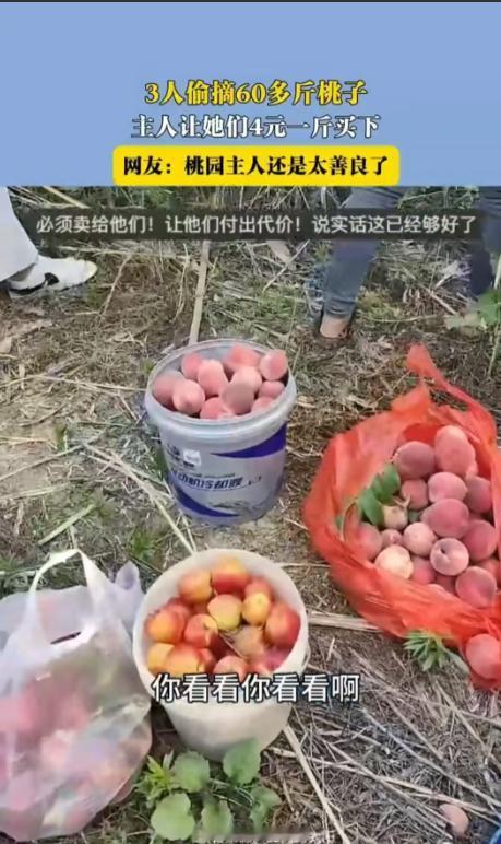 6月10日，安徽，三个人偷了女子60斤桃子，她没有报警，而是以4元1斤卖给了对方