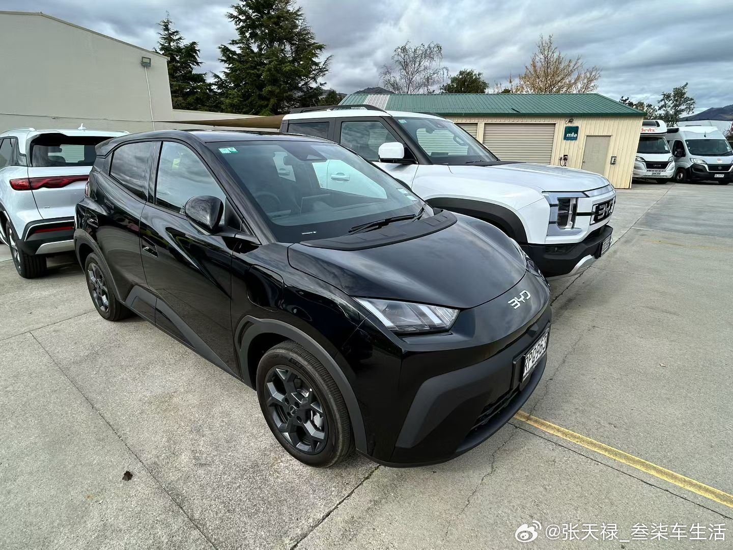 我们迪子的车在国外很火哦，颜值这块也是能打啊，这个皮卡真漂亮，国内要有就好了比亚