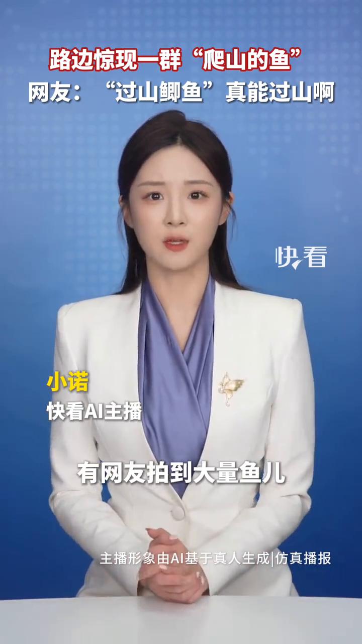 路边惊现一群"爬山的鱼"。网友："过山鲫鱼"真能过山啊。
南国早报。
近日，广西