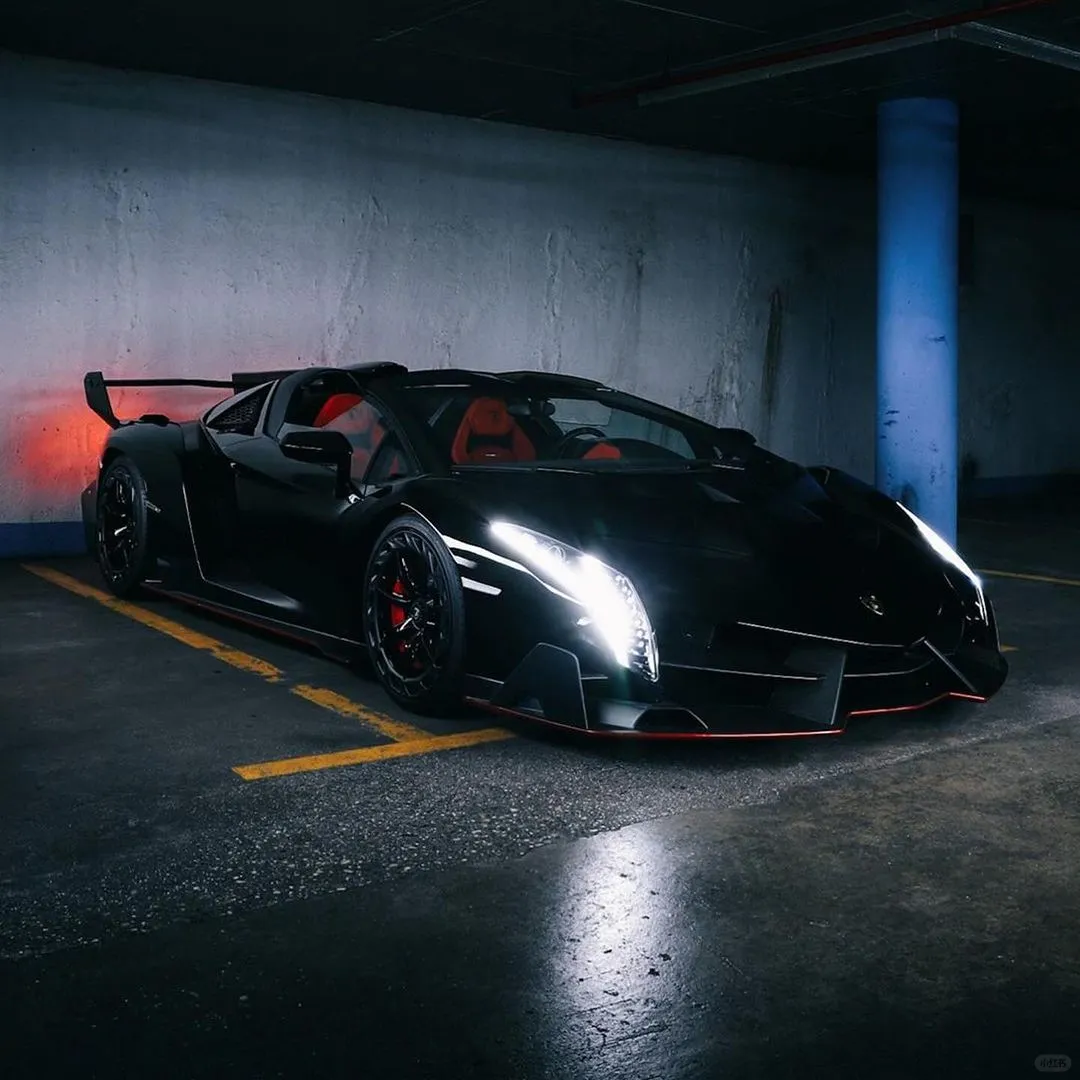 Veneno Roadster 🦇