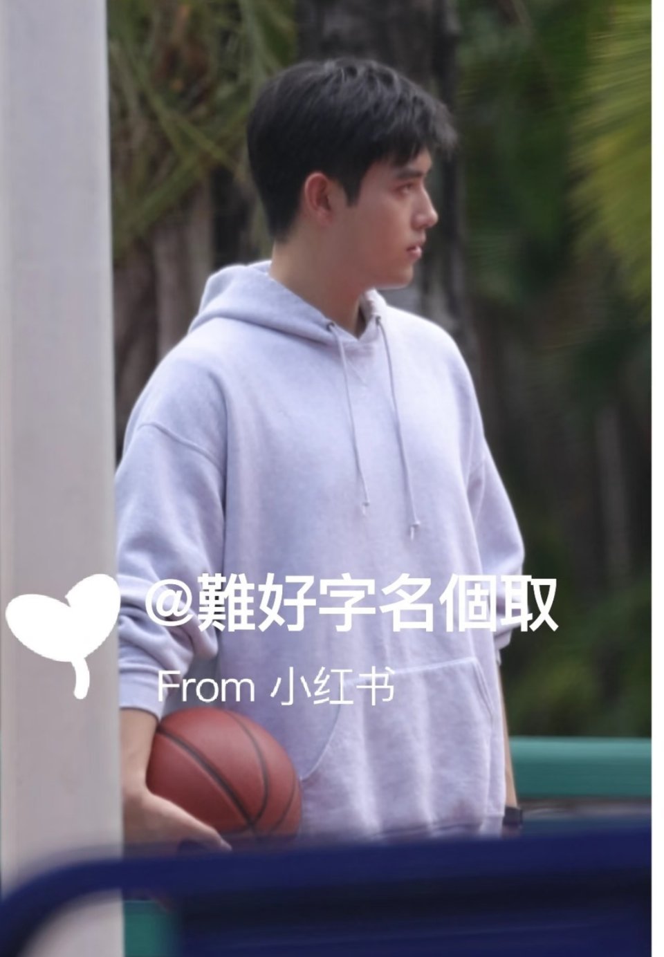 陈飞宇 纯血小陈红的含金量纯血小凯歌的含金量 